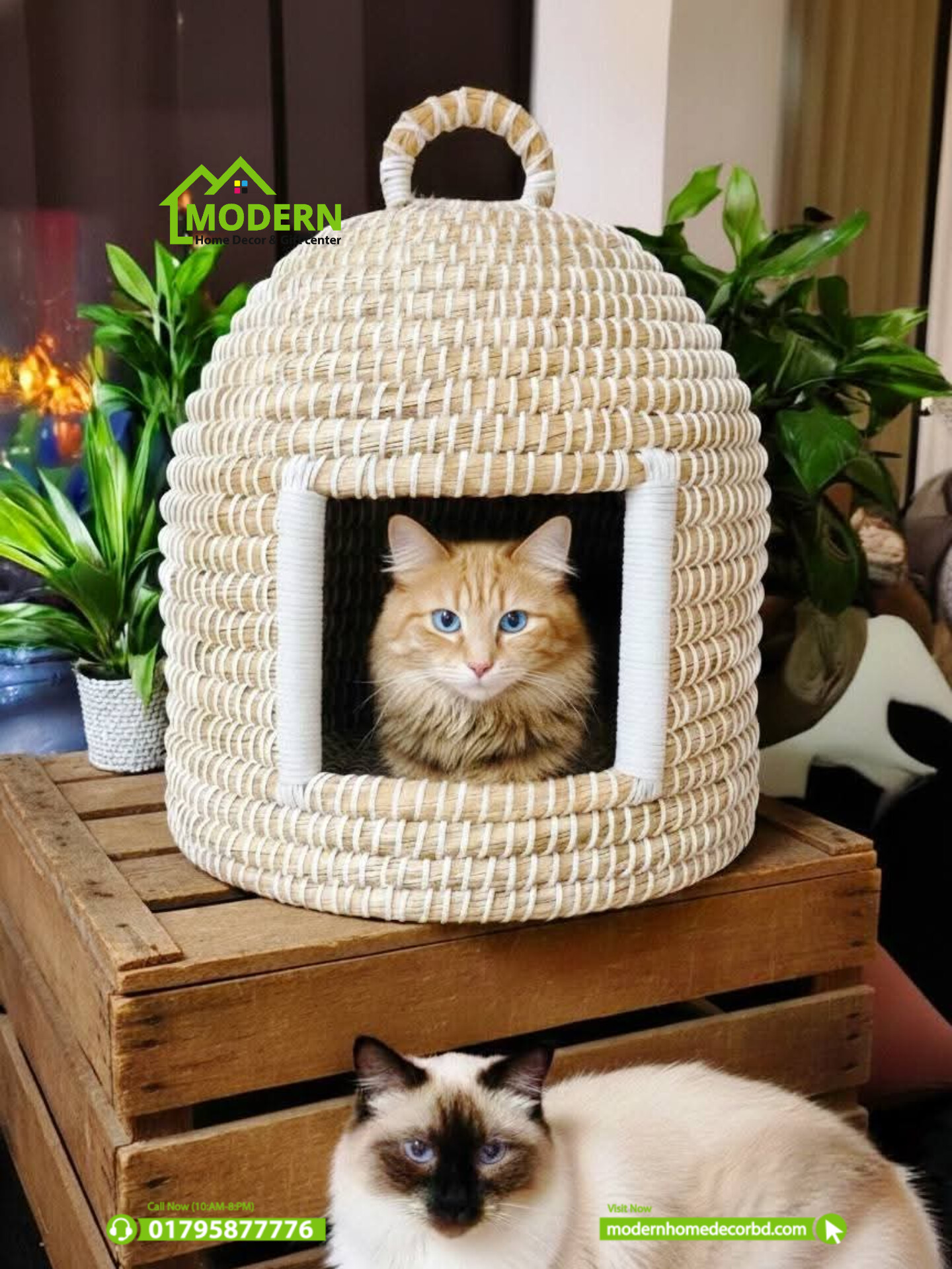 Cat House - Image 2